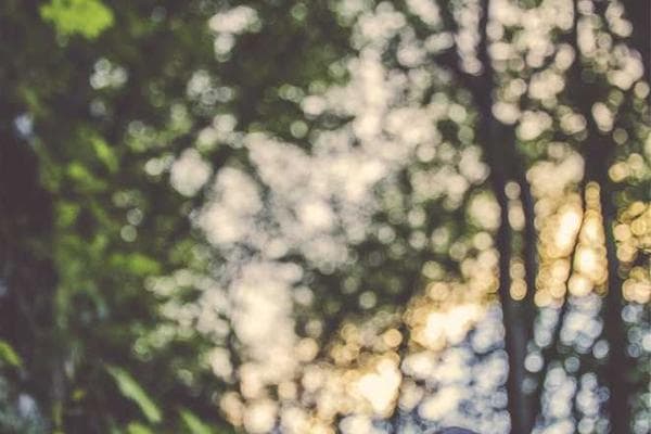 Taxes & Family Benefits Deep Dive