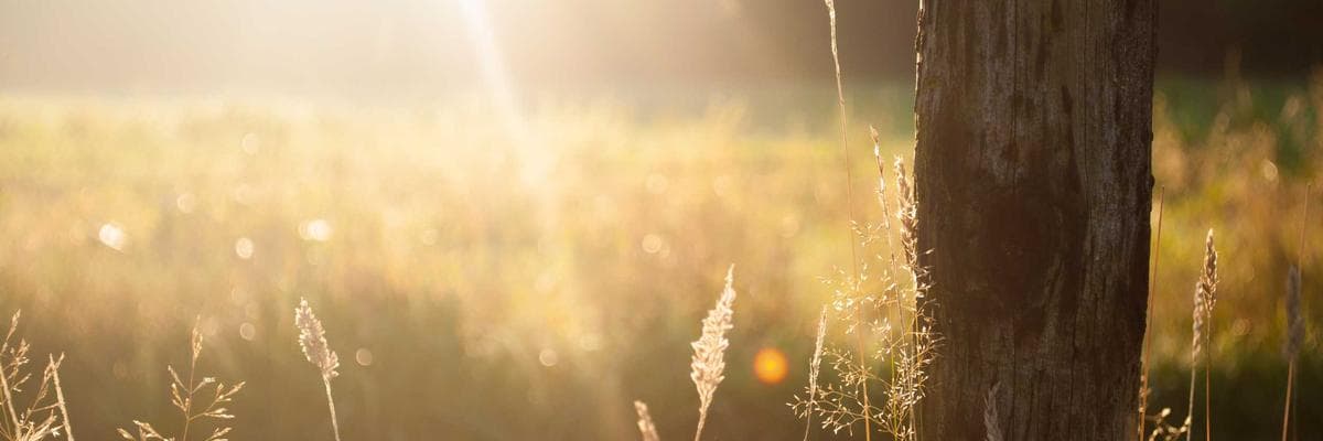 Abstract image representing financial power