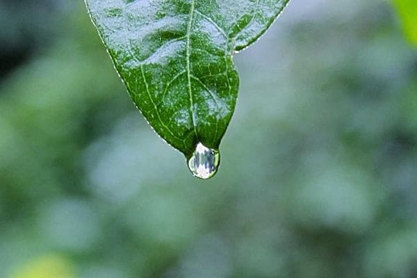 Housing & VA Loan Deep Dive